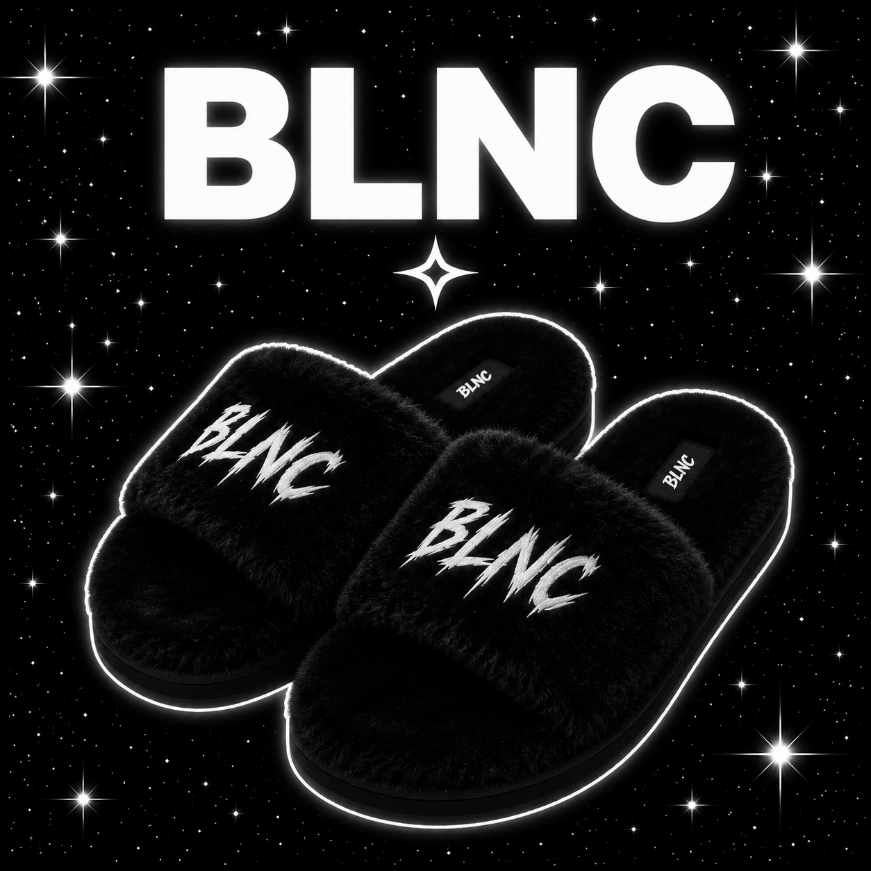 BLNC Slides